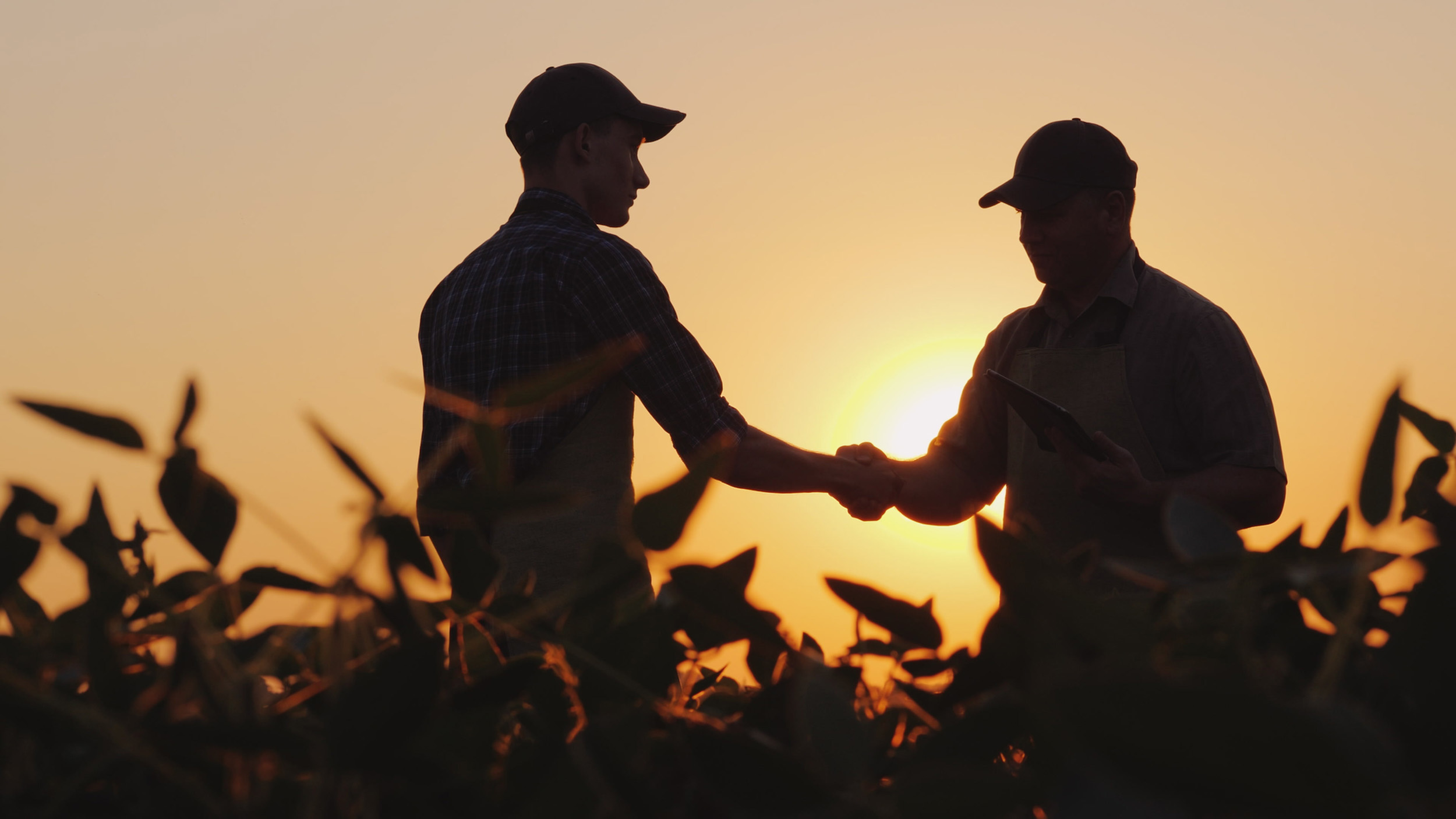 Texas A&amp;M AgriLife Corporate Engagement.